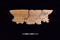 藏品(陶罐)的圖片